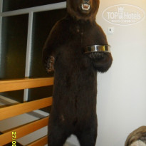 фото из отзыва ID 1523755