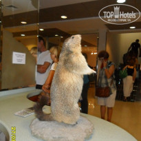 фото из отзыва ID 1523755