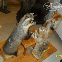 фото из отзыва ID 1523755