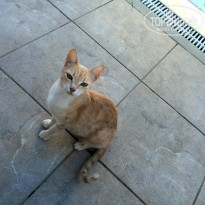 фото из отзыва ID 1527758