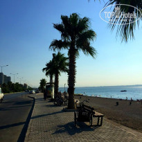 фото из отзыва ID 1527758