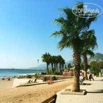 фото из отзыва ID 1527758