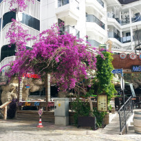 фото из отзыва ID 1527879