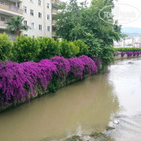 фото из отзыва ID 1527879