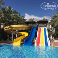 фото из отзыва ID 1527908