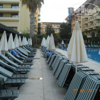 фото из отзыва ID 1527911