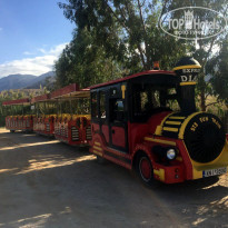 фото из отзыва ID 1528024