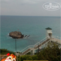 фото из отзыва ID 1528296