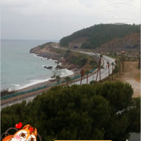 фото из отзыва ID 1528296