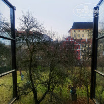 фото из отзыва ID 1528350