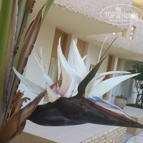 фото из отзыва ID 1528401