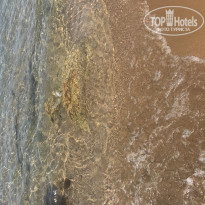 фото из отзыва ID 1528403