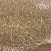 фото из отзыва ID 1528403