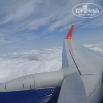 фото из отзыва ID 1528468