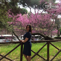 фото из отзыва ID 1528468