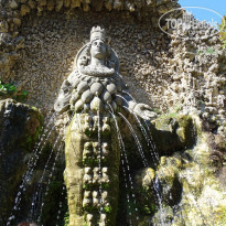 фото из отзыва ID 1528468