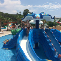 фото из отзыва ID 1528546