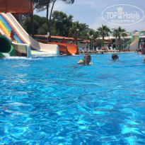 фото из отзыва ID 1528546