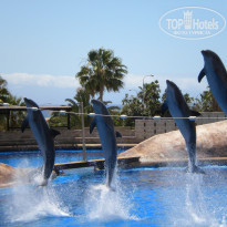 фото из отзыва ID 1528811