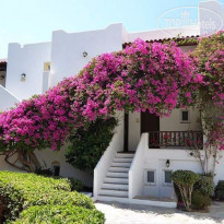 фото из отзыва ID 1528638