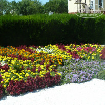 фото из отзыва ID 1528983