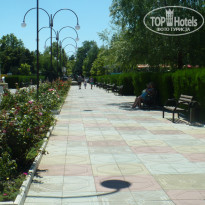 фото из отзыва ID 1528983