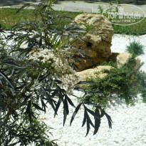 фото из отзыва ID 1528983