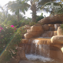 фото из отзыва ID 1529018