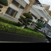 фото из отзыва ID 1529043