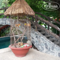 фото из отзыва ID 1529306