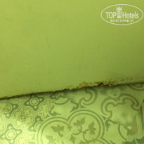 фото из отзыва ID 1529417