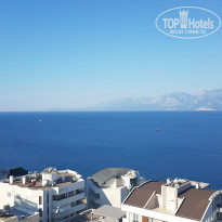 фото из отзыва ID 1529357