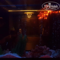 фото из отзыва ID 1529357