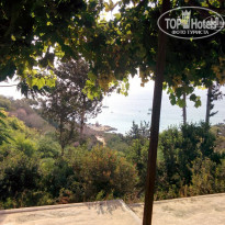 фото из отзыва ID 1529438