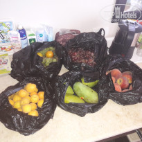 фото из отзыва ID 1529769