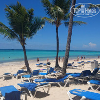 фото из отзыва ID 1529908