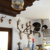 фото из отзыва ID 1529748