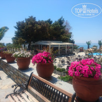 фото из отзыва ID 1521341