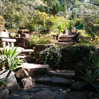 фото из отзыва ID 1525956