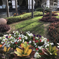 фото из отзыва ID 1529392