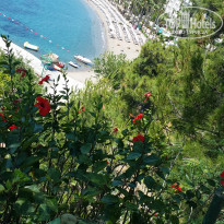 фото из отзыва ID 1525013