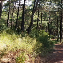 фото из отзыва ID 1525013