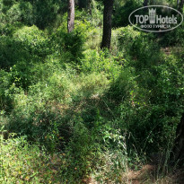 фото из отзыва ID 1525013