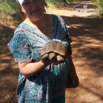 фото из отзыва ID 1525013