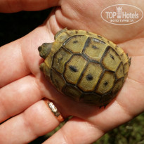 фото из отзыва ID 1525013