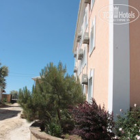 фото из отзыва ID 1530065