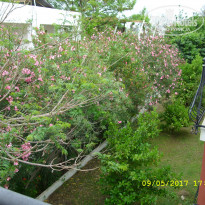 фото из отзыва ID 1530240