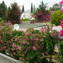 фото из отзыва ID 1530240