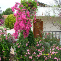 фото из отзыва ID 1530240