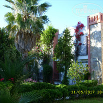 фото из отзыва ID 1530240